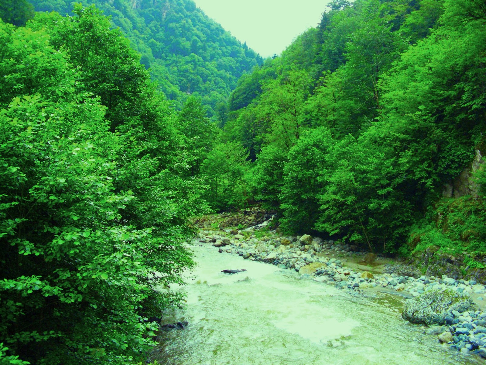 Turkey Travel Advisory Rize