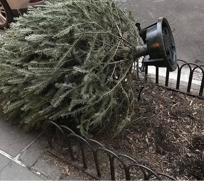 Garden Glamour by Duchess Designs Why You Should Compost Your