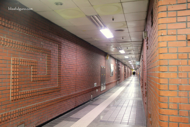 Seoul Metro Subway