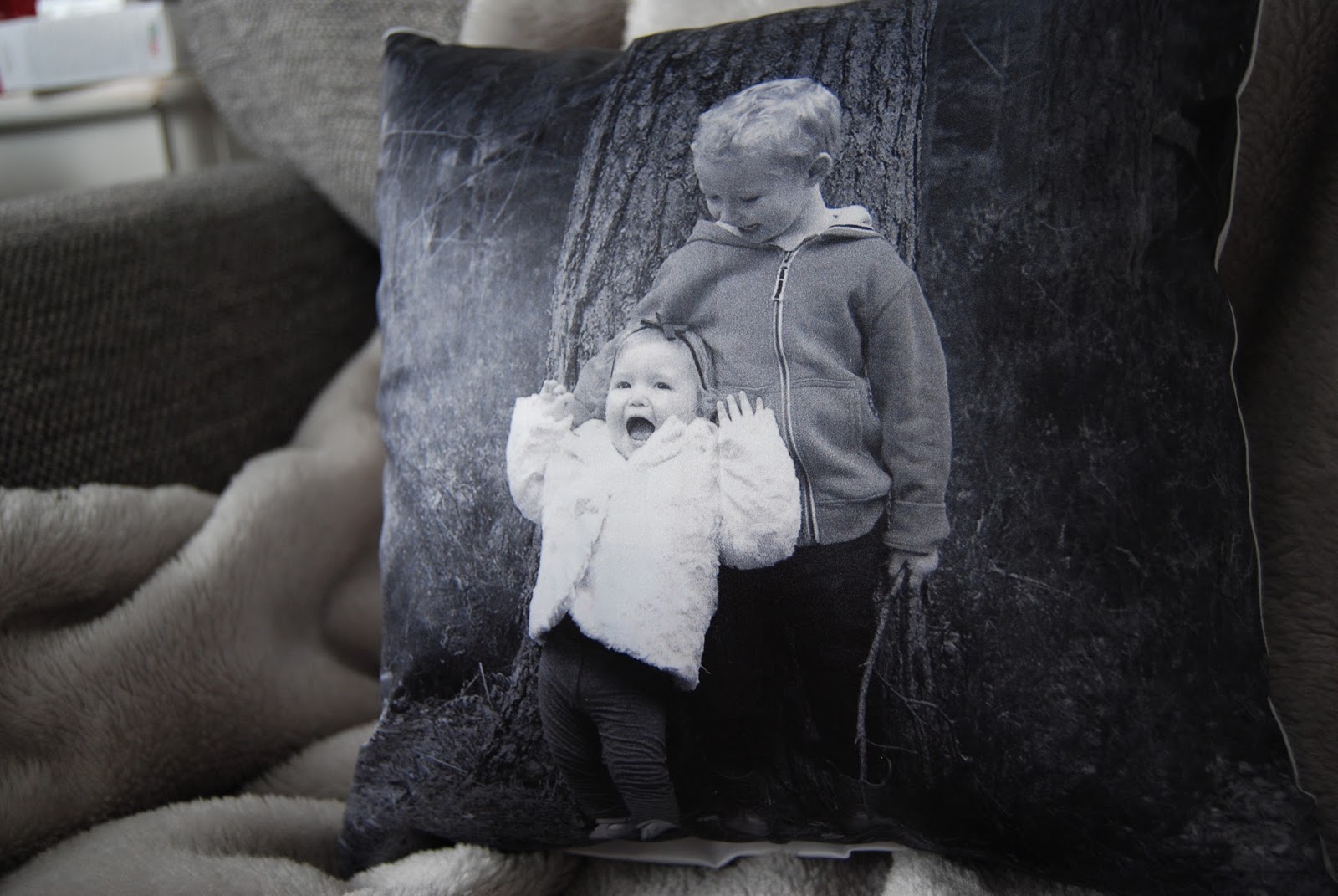 canvas champ pillow reviews