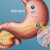 Type 2 Diabetes Using Insulin Help Rest and Repair Your Pancreas?