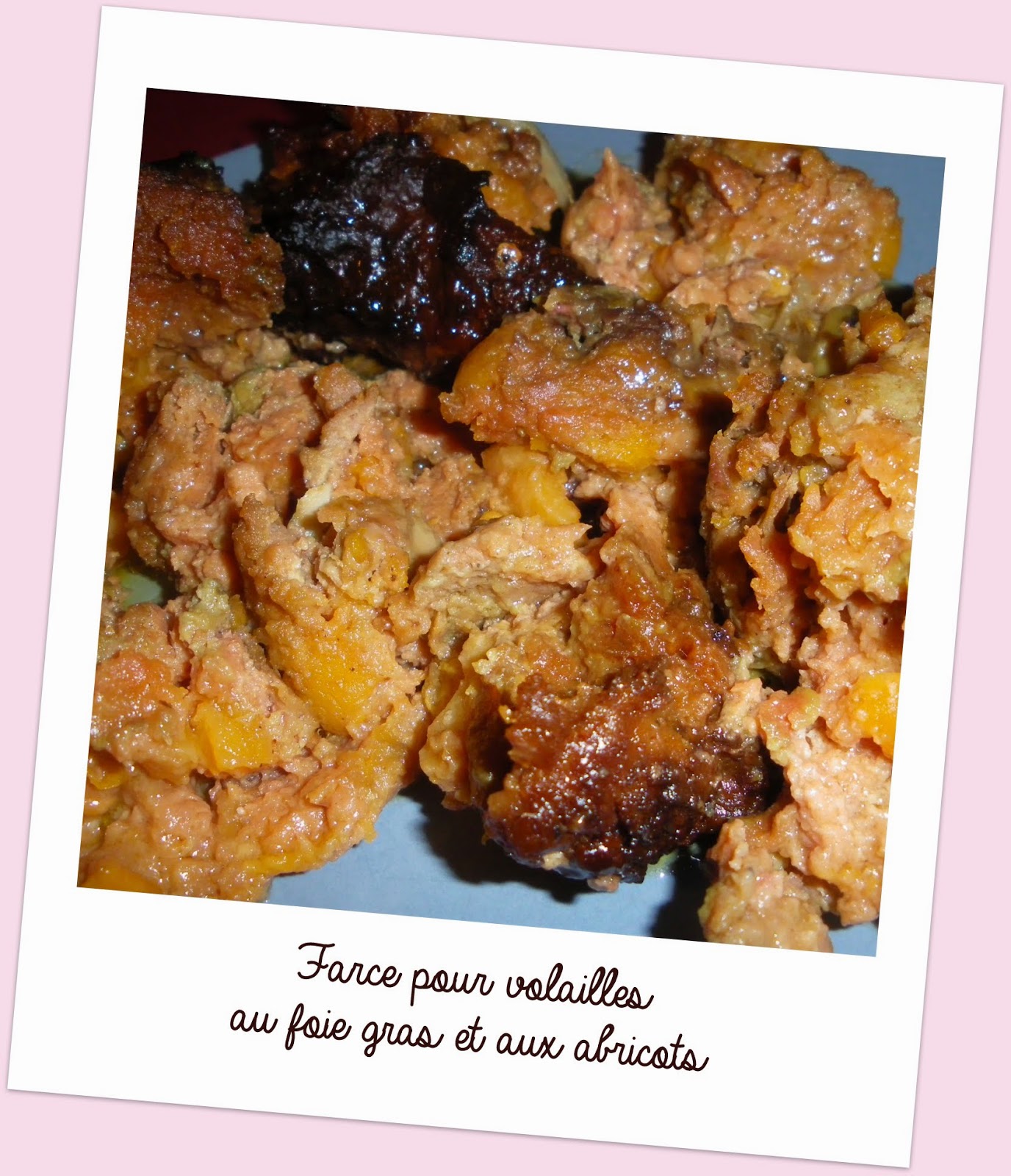 Cuisine et cetera ! Farce pour volailles au foie gras et aux abricots