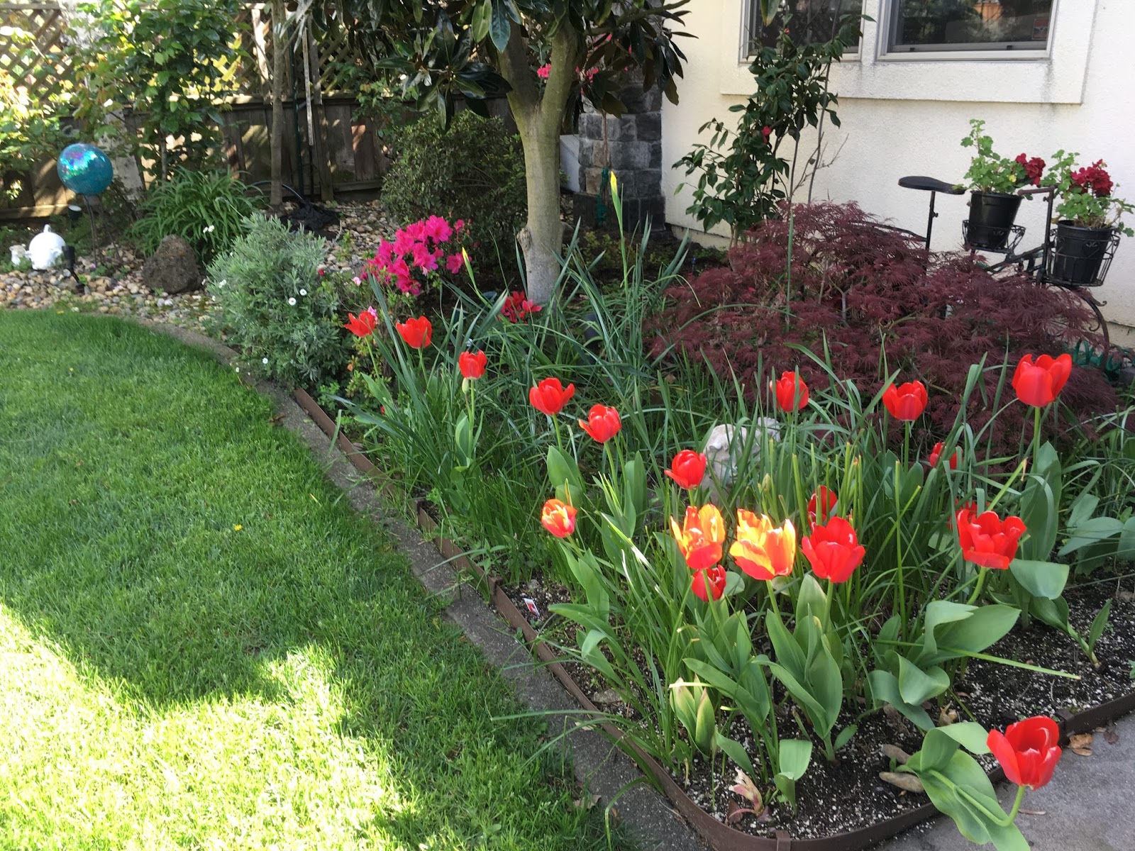 Feng Shui by Maria Use Flowers to Uplift Your Feng Shui Ch'i