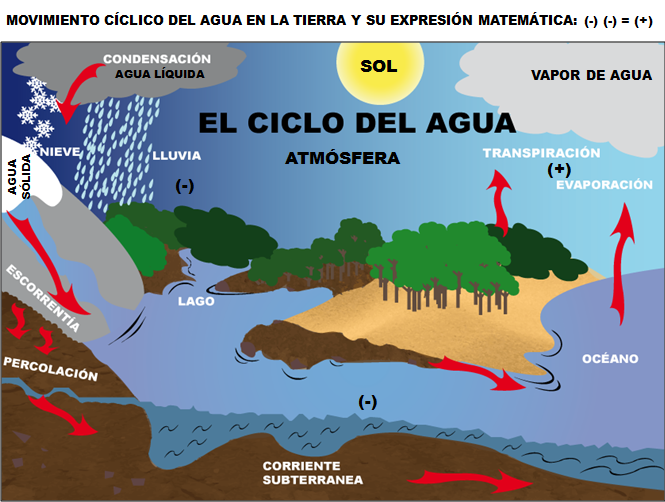 Fundamentos De La Ciencia Movimiento Cíclico Del Agua Y Su Disponibilidad En La Tierra