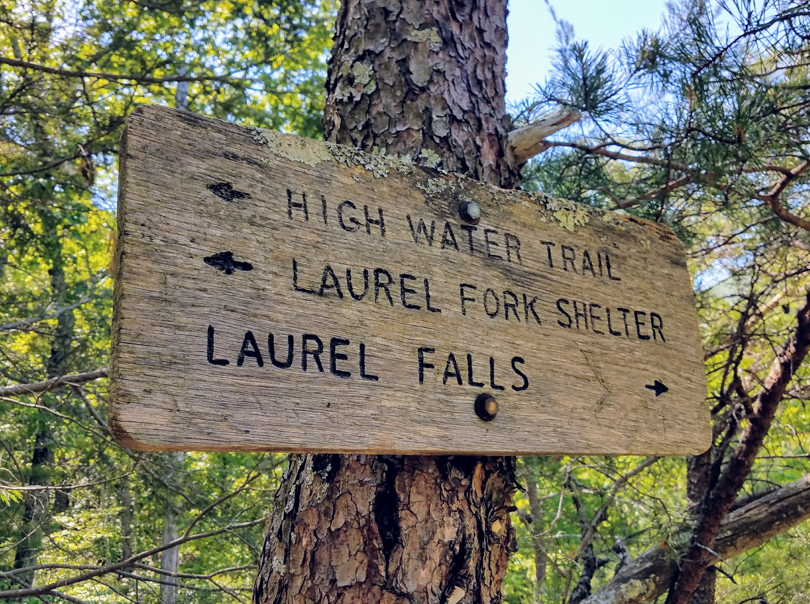 Tales From The Wood Booger Hike To Laurel Fork Falls & Pho...It Was A