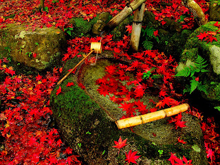 Bamboo Fountain Red Leaves HD Wallpaper