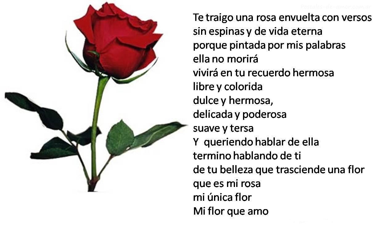 Poemas de rosas Imágenes de 10 Poemas de rosas Imágenes de 10
