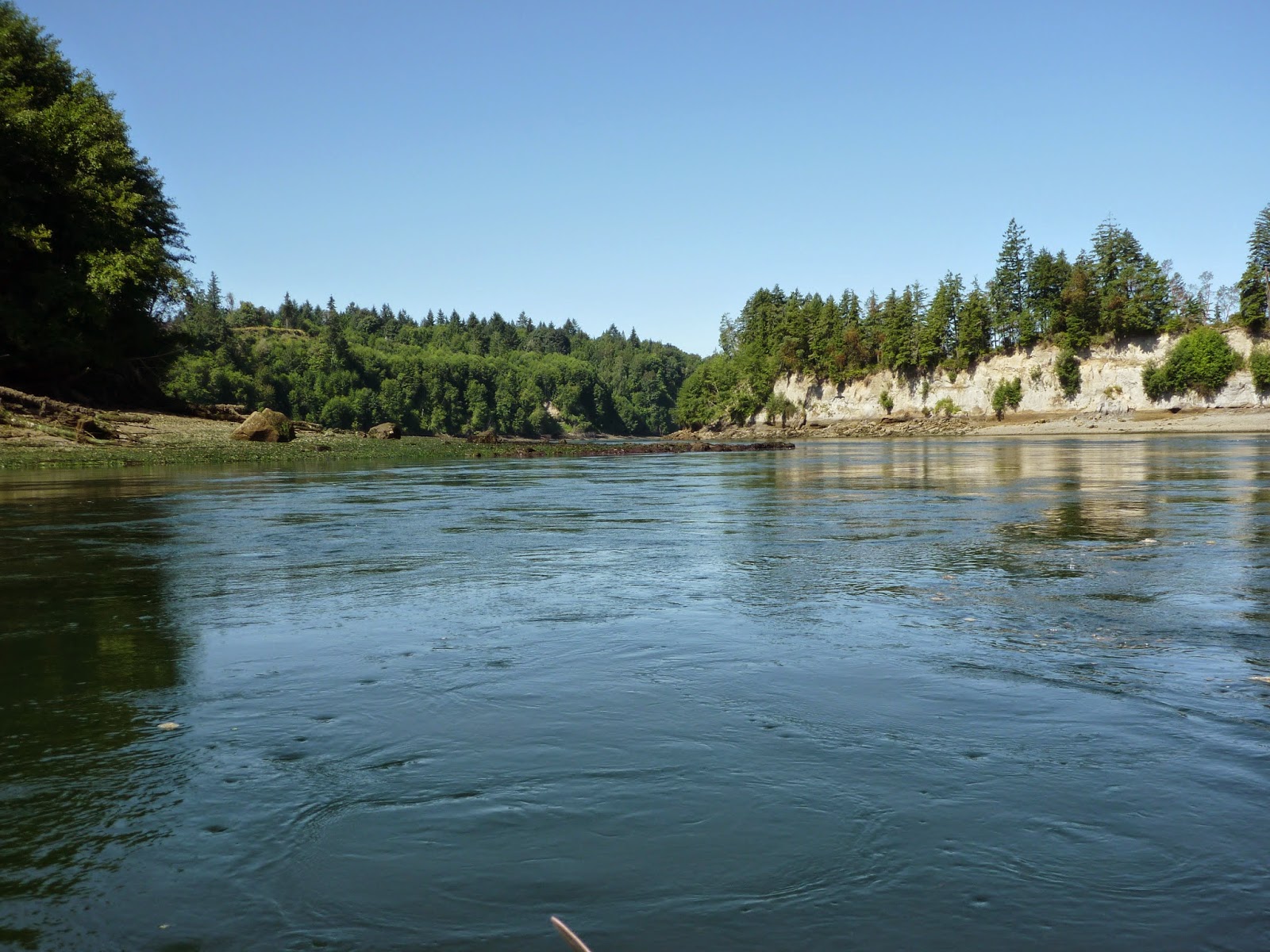 Buzz's Marine Life of Puget Sound: HOPE ISLAND - HAMMERSLEY INLET - SEA ...