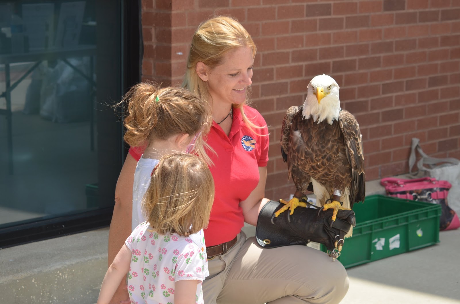 World Bird Sanctuary Support our Wildlife Hospital when you Shop at