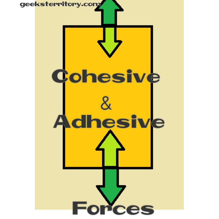 Cohesive and Adhesive forces Definition, differences and effects