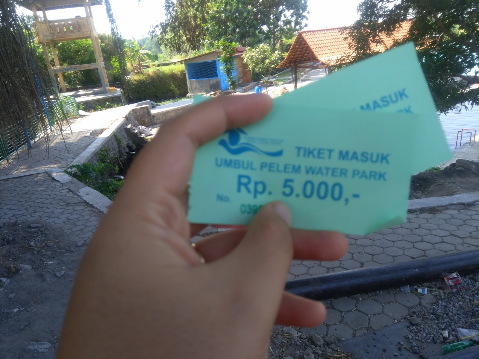 Sensasi Berenang Dikelilingi Persawahan Kunjungi Wisata Air Umbul Pelem Yuk Lingga Permesti A Family Lifestyle Blogger