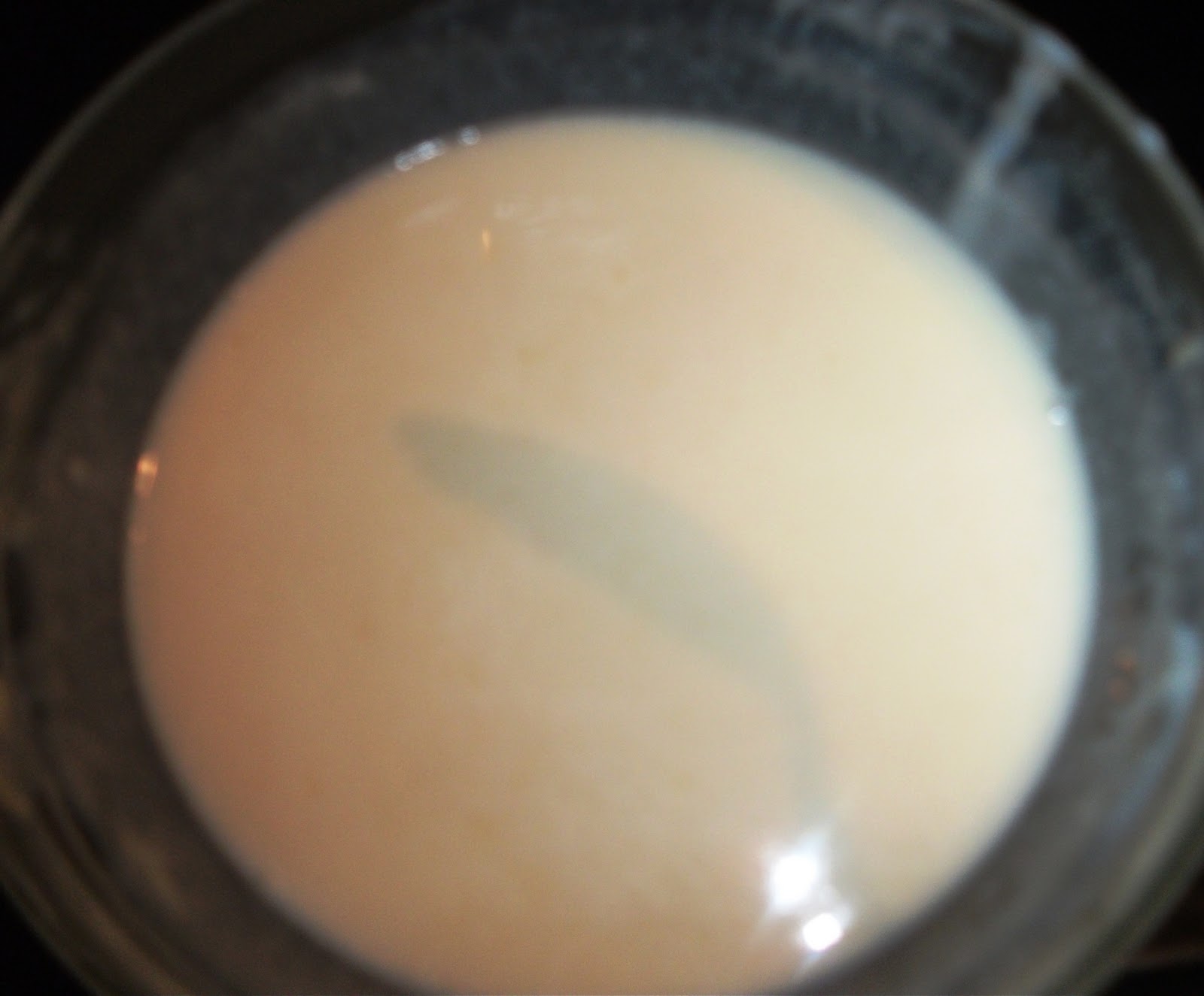 Edible Entertainment Cheese Sauce