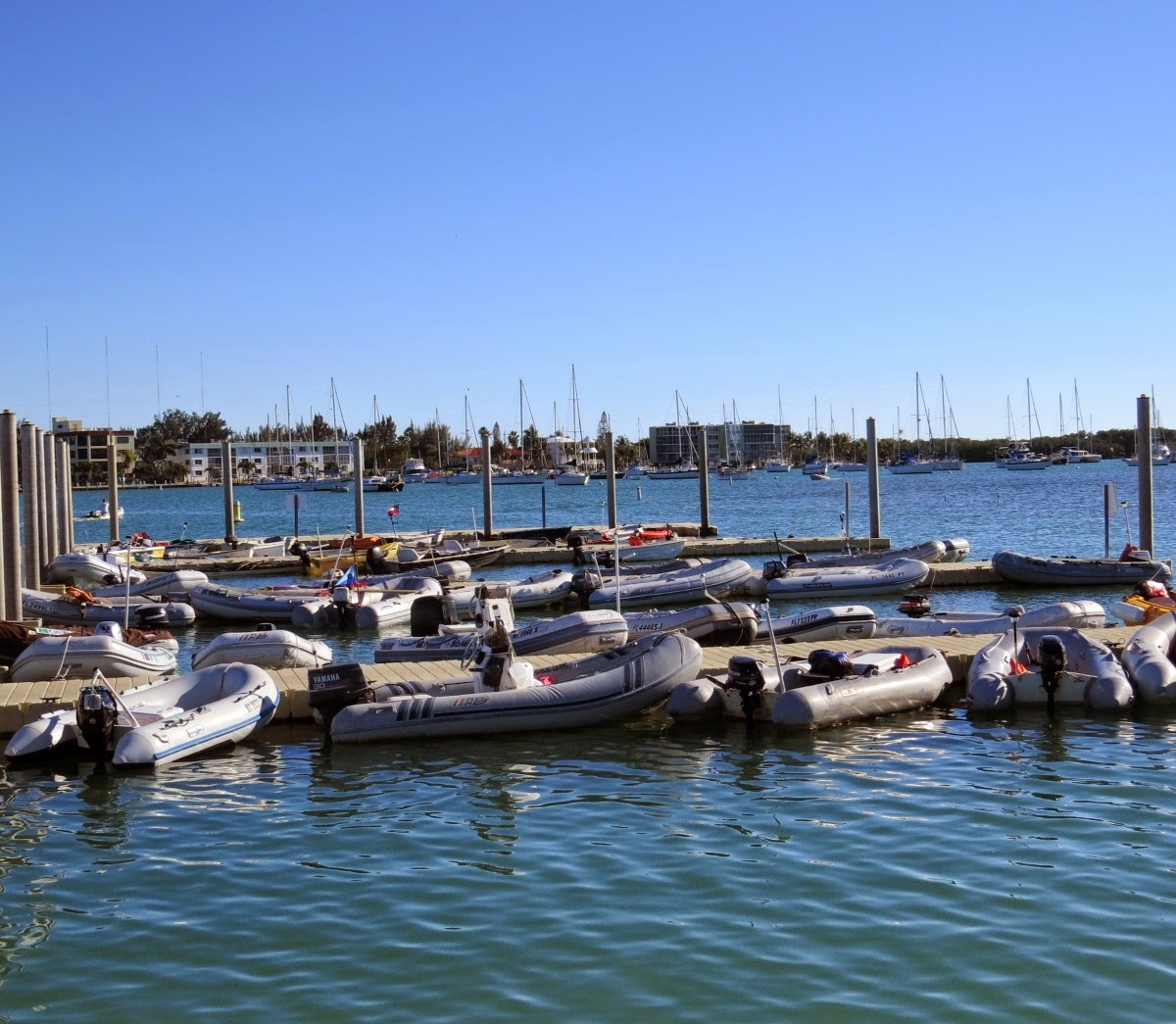 On the Loop with Serenity: Low Key at Boca Chica