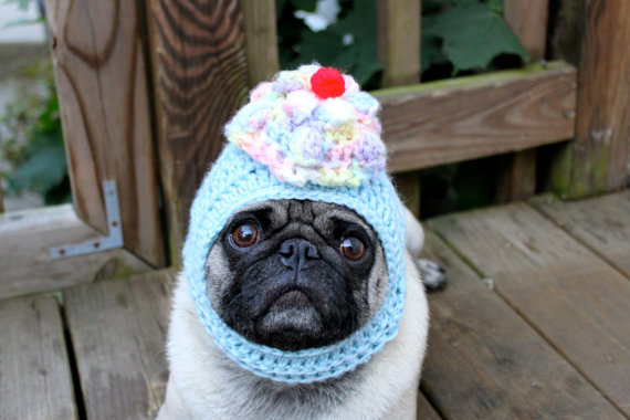 FORTY FOUR SUNSETS: PUGS IN HATS, YO