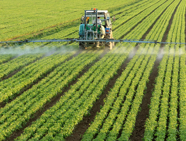 Spraying herbicides