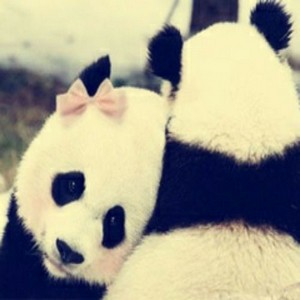 رمزيات حب جامدة واتساب , صور رمزيات حب جامده جدا للأنستقرام والفيس بوك