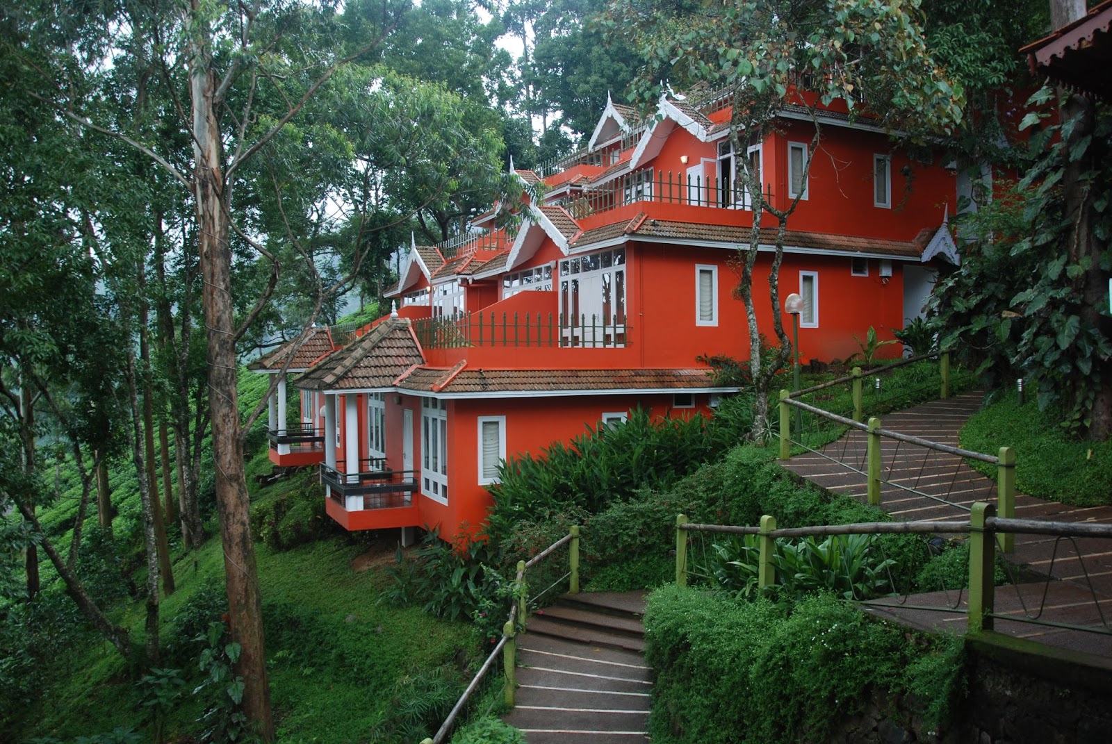Tea Valley Resort: Munnar Tea Plantations