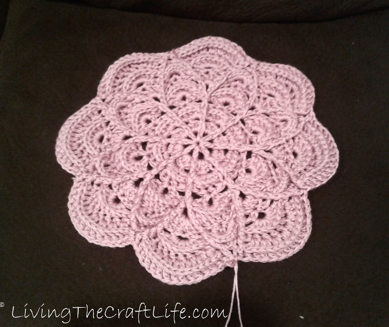 Living the Craft Life Flower Puddles Blanket Pattern Review
