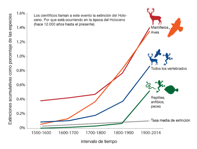 Resultado de imagen de La tasa de extinciÃ³n de especies