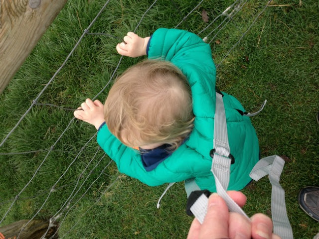 Toddler holding onto fence 