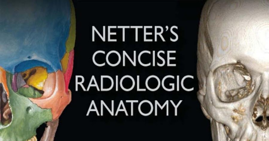 Netters Concise Neurology Pdf