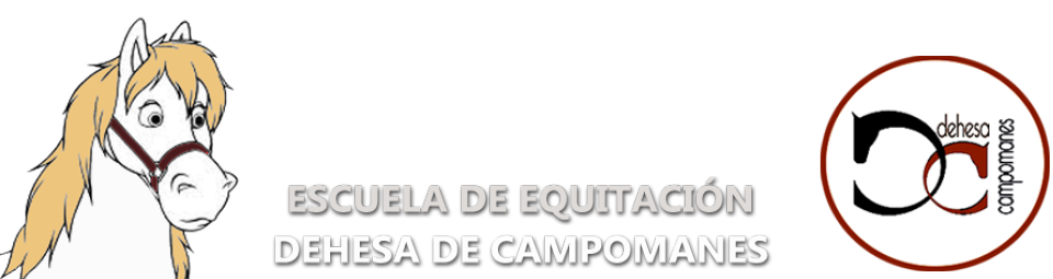 Visite la  web de  DEHESA DE CAMPOMANES