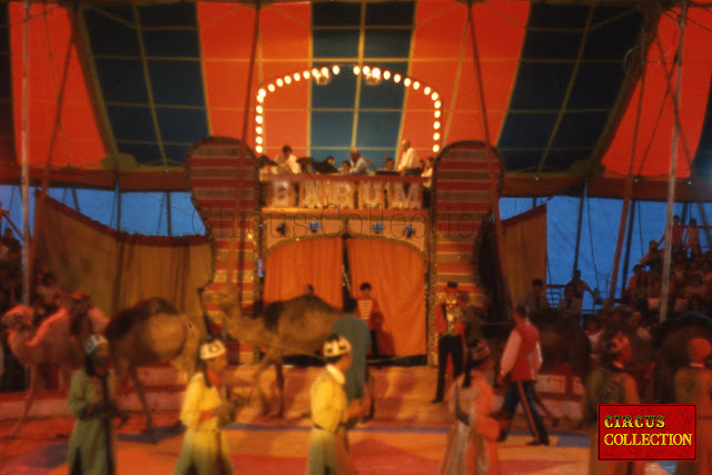 parade d'exotique dans le manège du Cirque Barum de Gerd Siemonet 