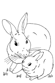 Best Of Bunny Rabbits Coloring Pages Ideas - Best Coloring Pages For Kids