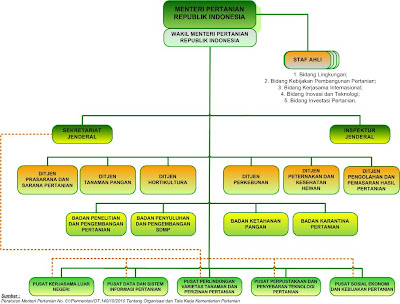 Struktur Organisasi Pt Subur Jaya Abadi