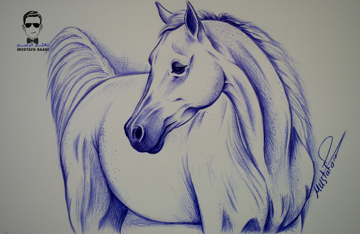 تعلم كيفية رسم حصان بالقلم الجاف الحبر مع الخطوات للمبتدئين تعلم