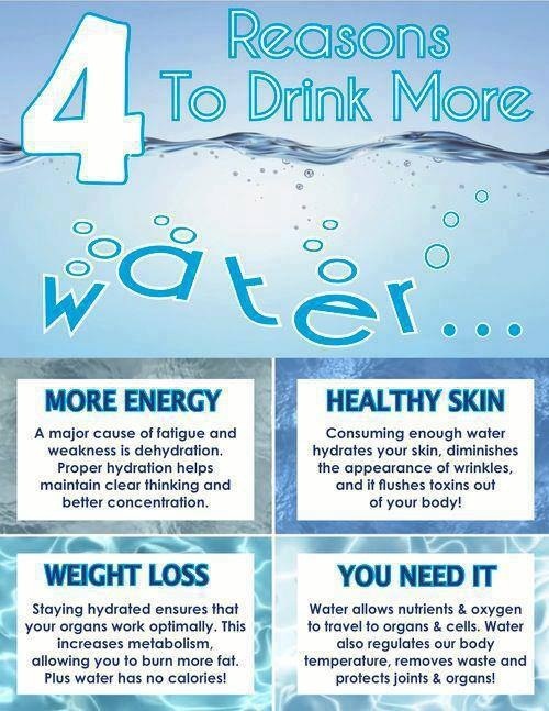 The New You Importance of hydration