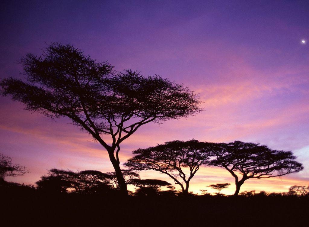 The Best Top Desktop HD Wallpapers: Destinations - Africa (20 HD ...