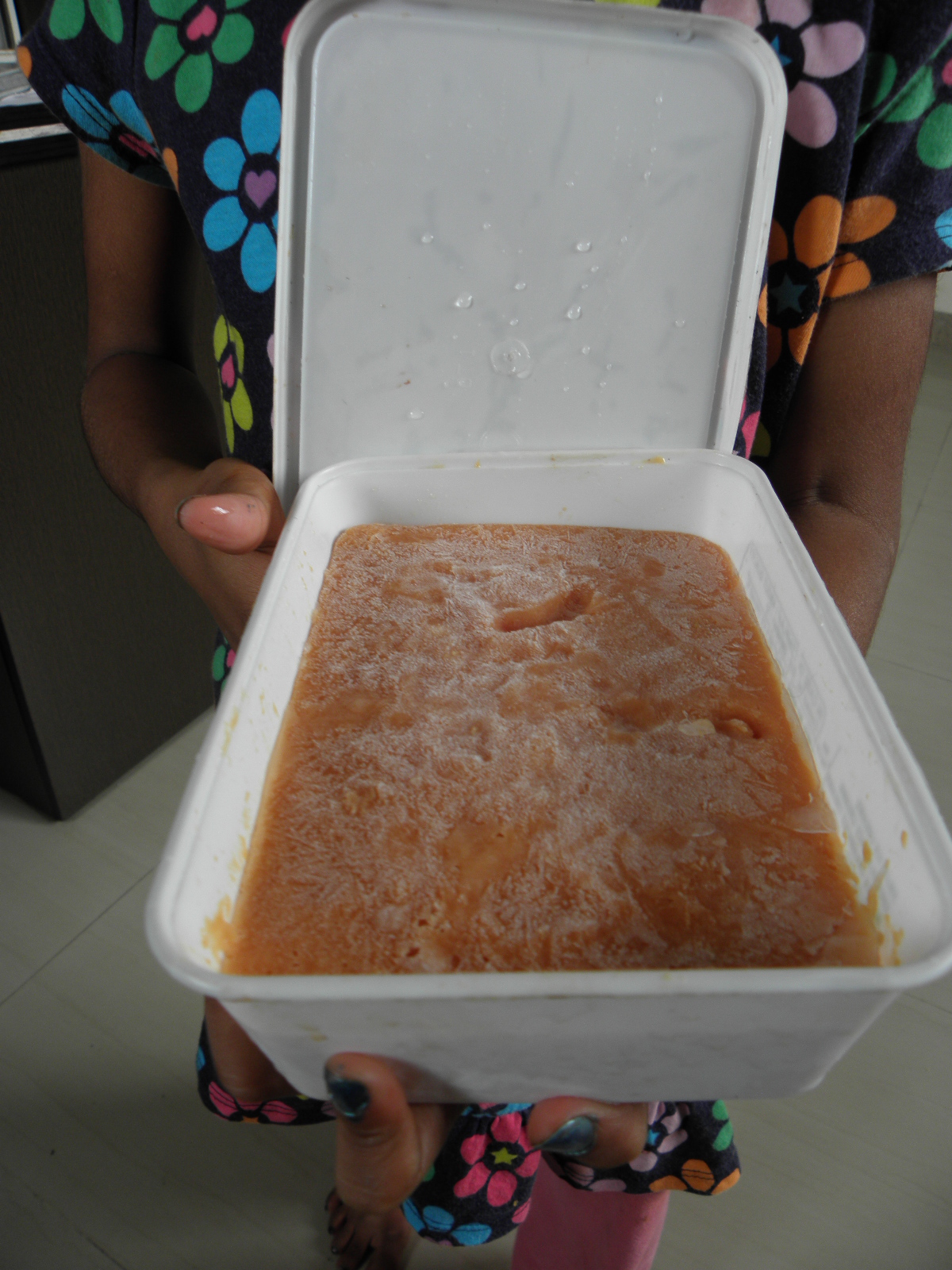 Chellu's Kitchen Papaya Icecream