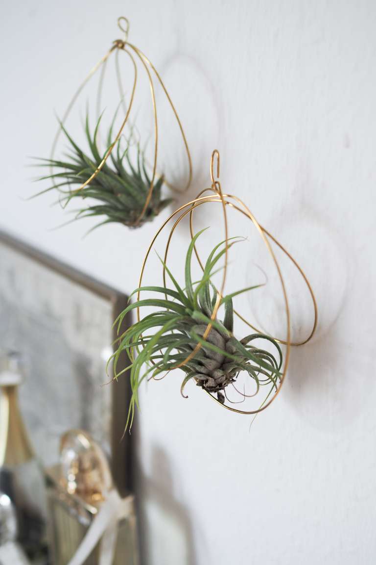 Air Plant Holder with Rock and Wire {DIY Air Plant Display