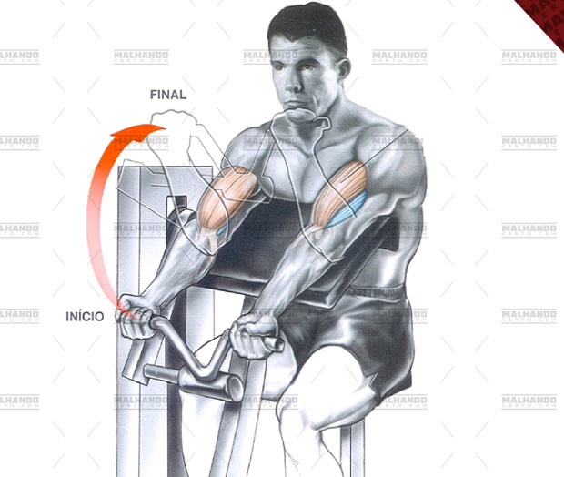 Tudo sobre Educação Física: 44° ROSCA SCOTT NO APARELHO ( BÍCEPS )