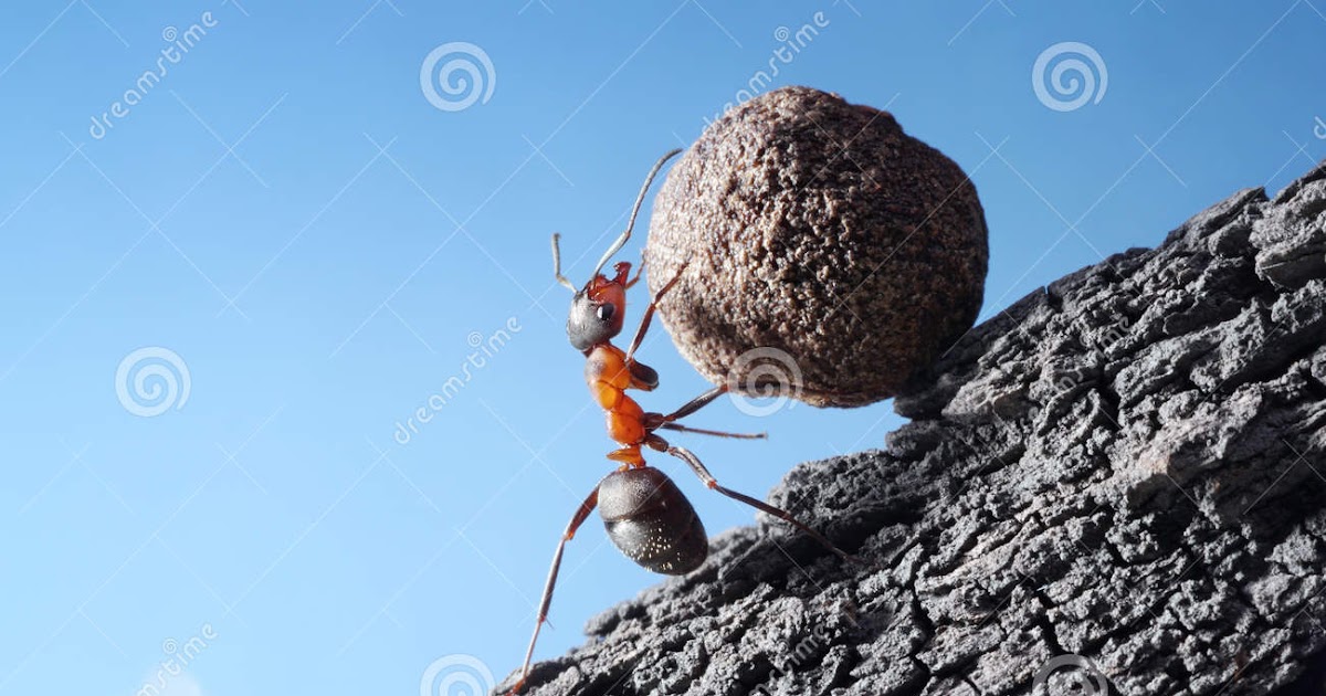 Uchenna Ezeh's Blog Collection