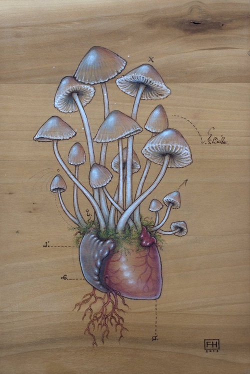 24-Psilocybin-Mushroom-Heart-Fay-Helfer-Pyrography-Game-of-Thrones-and-other-Paintings-www-designstack-co