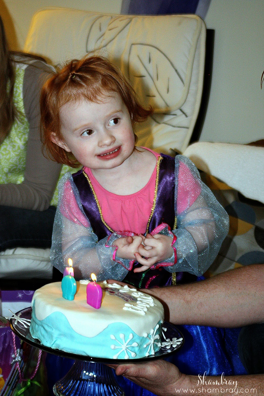 Shambray A Frozen Birthday Party for a 3 year old