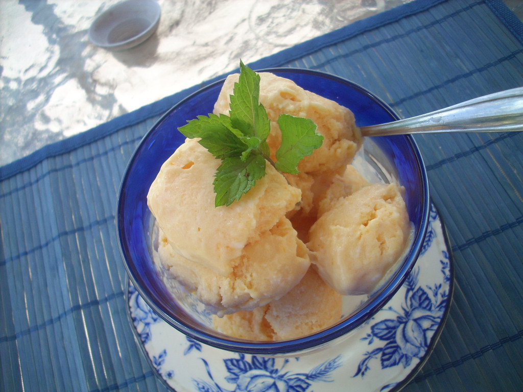 Canela kitchen (gloria) Peach and yogurt Ice cream