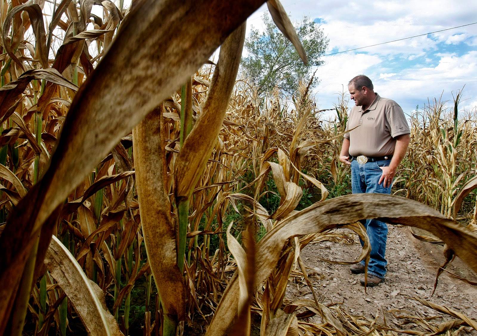 Scott G Winterton Photographer Utah Farmers