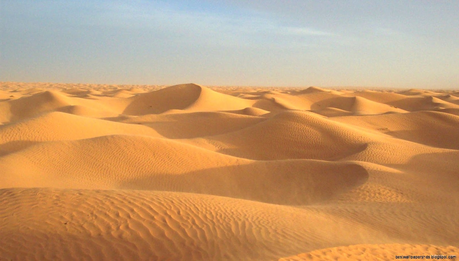 Desert Sand Dunes Beach