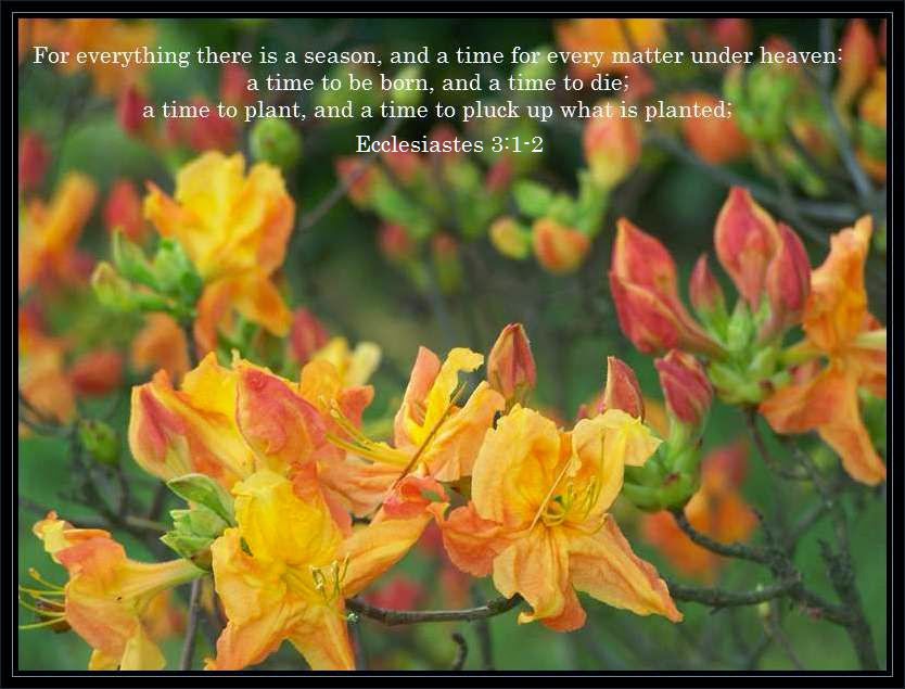 Fall A glorious time