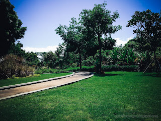 Fresh And Green Garden Landscape With The Walkway In The Park At Tangguwisia Village, North Bali, Indonesia