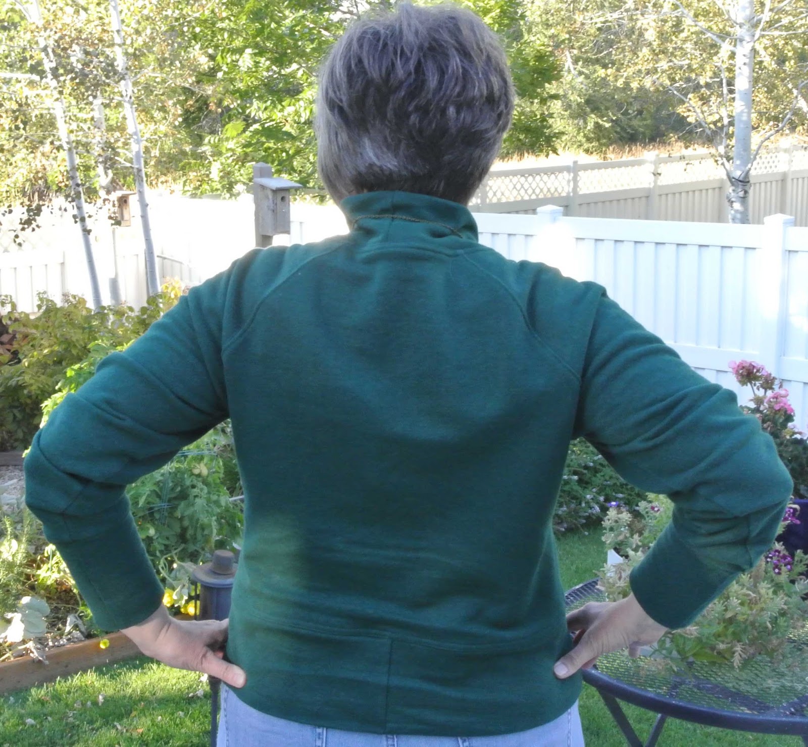 a notion to sew: Sew House Seven Toaster Sweater