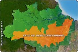 O que é arco do desmatamento na Amazônia? | PENSE NO VERDE