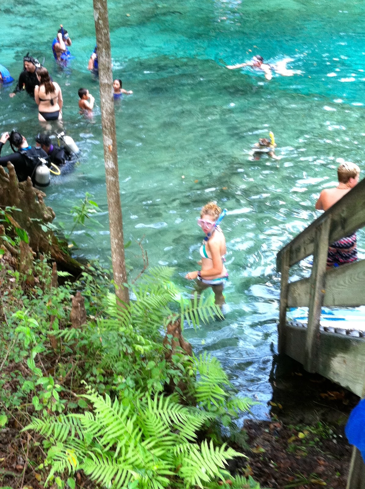 Magnitude 1 1 Ginnie Springs System (Ginnie Spring and Devil's Eye