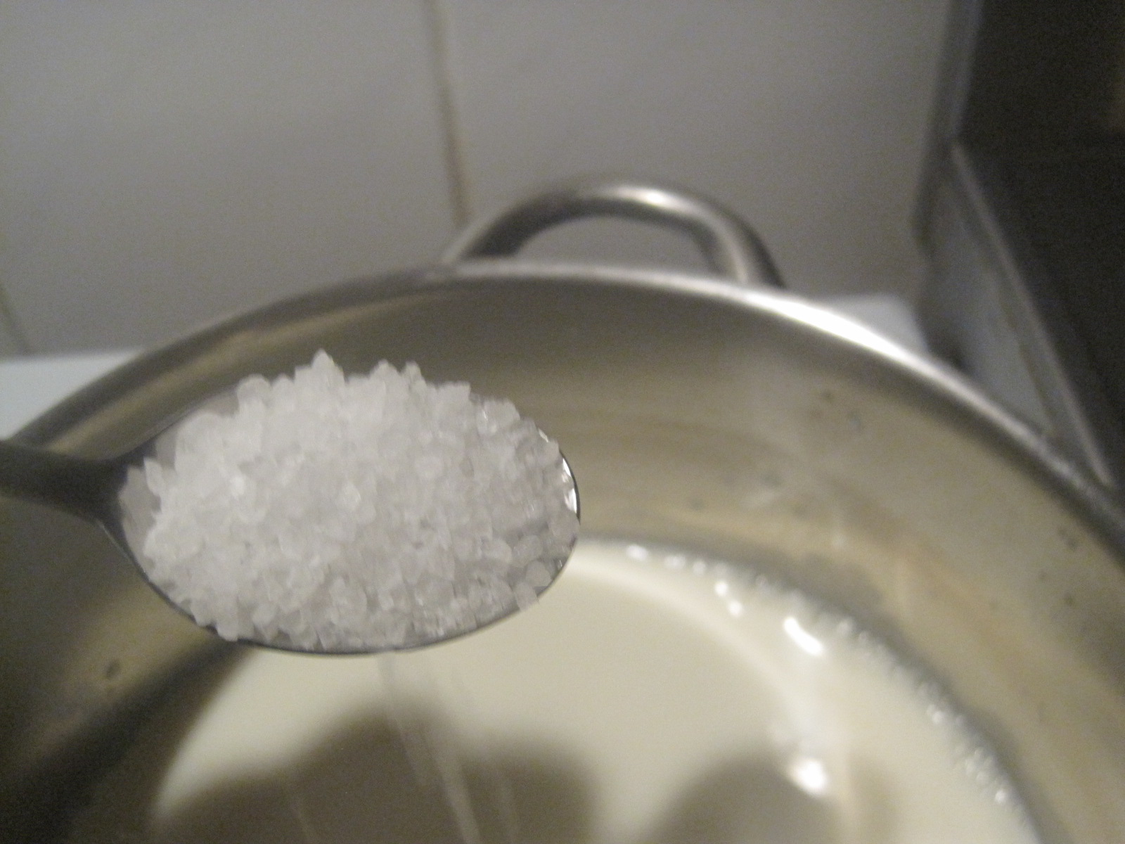 Mozzarella selbst gemacht – glatzkoch.de