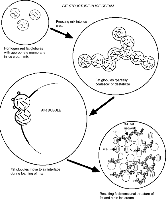 Science at the Culinary: The Importance of knowing your Medium: Ice Cream