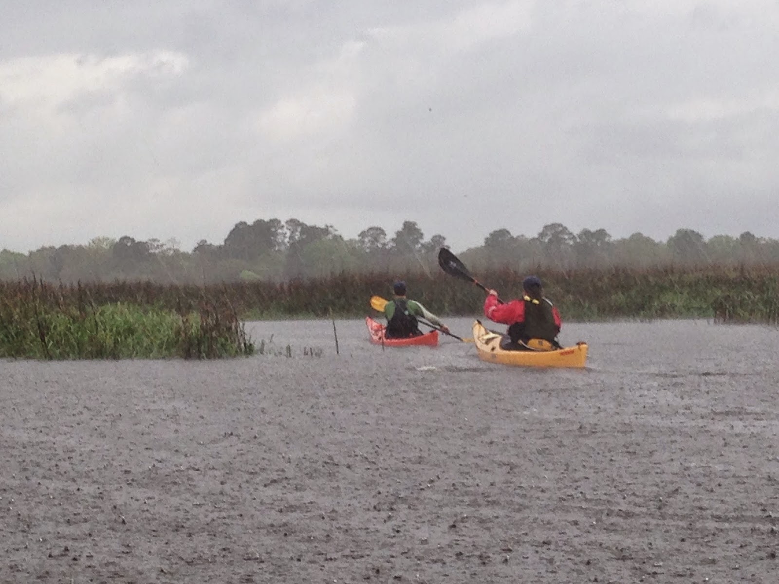 Sea Kayak Stonington Horsin' Around on Cumberland Island