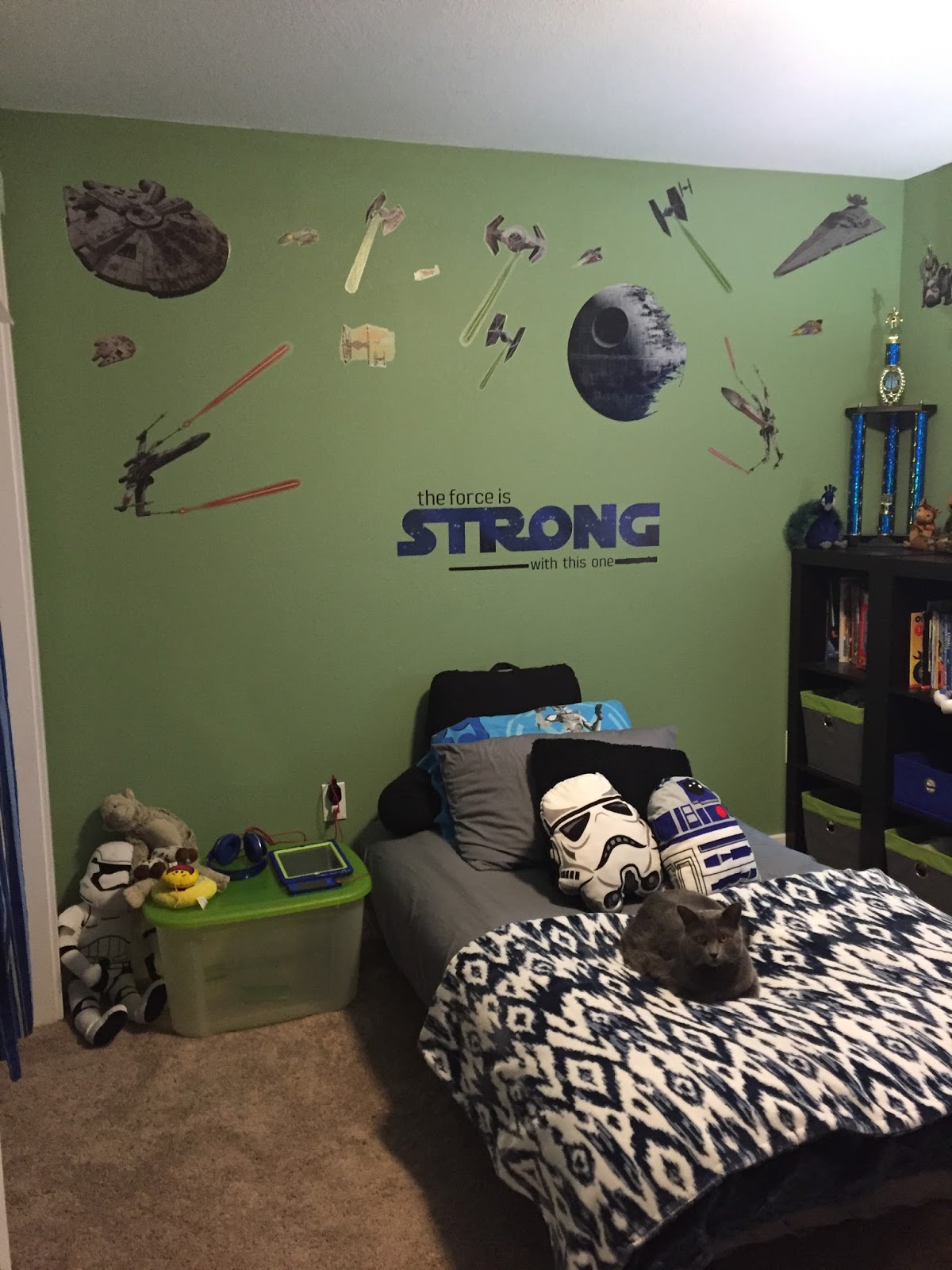 Decorating, Dishes, and Peacock's Organizing my 9 year olds room